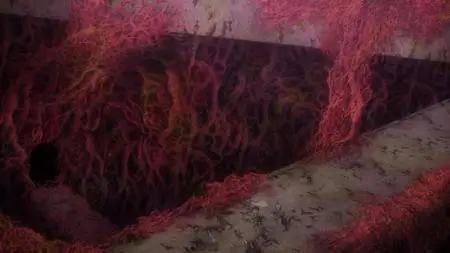 DanMachi: Is It Wrong to Try to Pick Up Girls in a Dungeon? - Arrow of the Orion (2019)