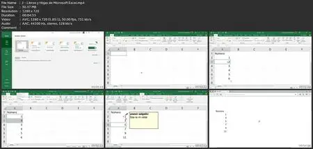 Microsoft Excel - Desde Básico A Avanzado