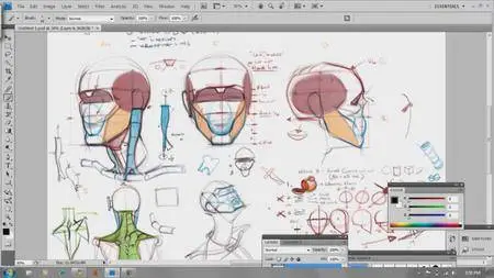 Analytical Figure Drawing [repost]