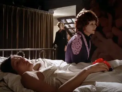 Die bitteren Tränen der Petra von Kant / The Bitter Tears of Petra von Kant (1972)