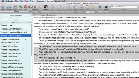 Scrivener | Everything you Need to Know from Idea to Launch