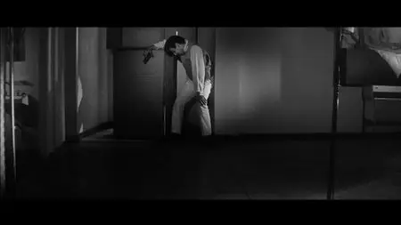 Branded to Kill (1967) [The Criterion Collection #38 Reissue] [ReUp]