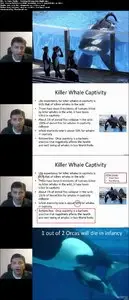 The Art of the PowerPoint Slide
