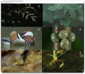 (Fr5) L'Art de la Séduction (2013)