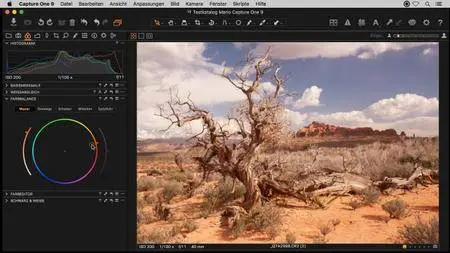 Capture One Pro 9 - Das Praxis-Training für Fotografen