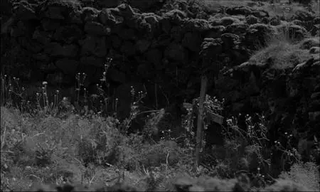 The Juniper Tree (1990)