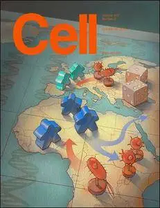 Cell - 20 October 2016