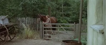 The Eagle Has Landed (1976)