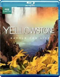 Yellowstone: Battle for Life (2009)