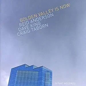 Reid Anderson, Dave King & Craig Taborn - Golden Valley Is Now (2019)