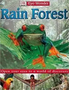 Rain Forest (Repost)