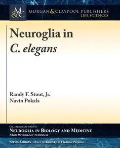 Neuroglia in C. Elegans