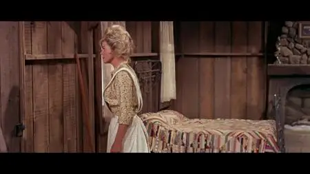 The Ballad of Josie (1967)