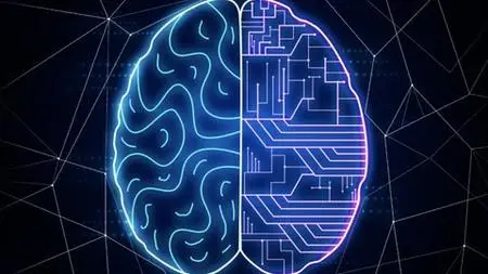 Binary Classification & Explainability For Data Science!