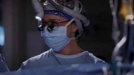Grey's Anatomy S11E24