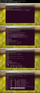 Linux Master Class : Skill up to become a Linux professional
