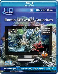 HDScape: Exotic Saltwater Aquarium (2006)