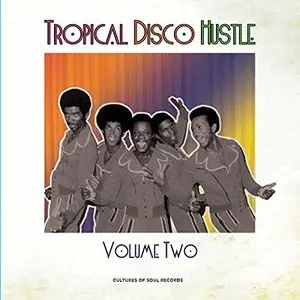 Various Artists - Tropical Disco Hustle Volume Two (2015)