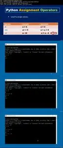 Python Operators For Beginners