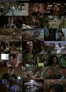 Let's Get Harry (1986)