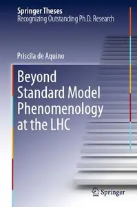Beyond Standard Model Phenomenology at the LHC (repost)