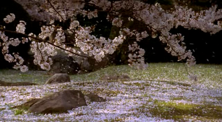 PBS Empires - Japan: Memoirs of a Secret Empire (2004)