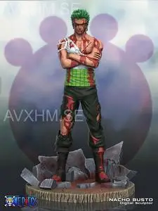 Zoro Sacrifice One Piece