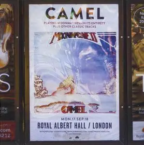 Camel - Live At The Royal Albert Hall (2019)