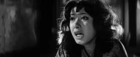 Shunpu den / Story of a Prostitute (1965)