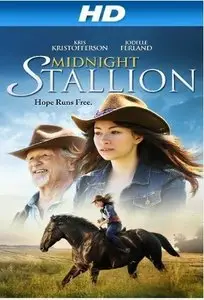 Midnight Stallion (2013)