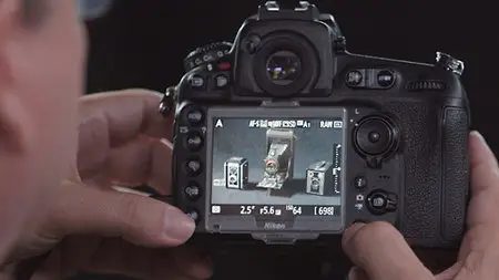 Lynda - Performance Tuning the Nikon D800 and D810