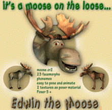 Edwin the moose