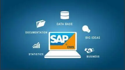Introduction to SAP DMS Document Management System dmssap plm