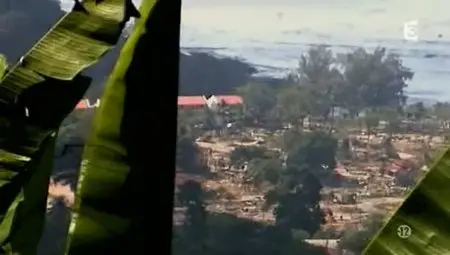 (Fr3) Tsunami, images intimes d'une catastrophe (2012)