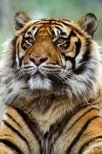 World In Photo 224