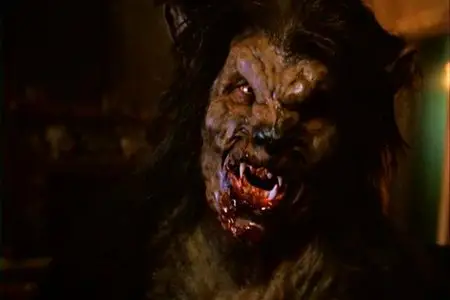 (FR+VO) L’ordre du loup (2006)
