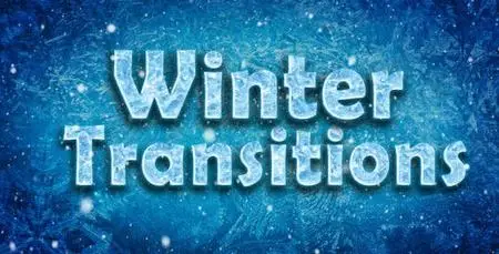 Winter Transitions 9751724