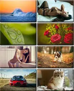 Computer Desktop Wallpapers Collection. Part (1467)