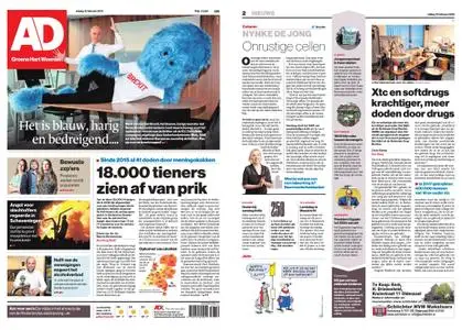 Algemeen Dagblad - Woerden – 15 februari 2019