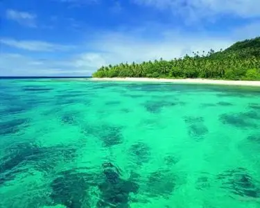 Summer Time Wallpaper Collection