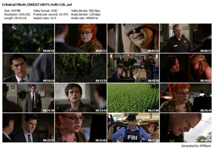 Criminal Minds S06E07