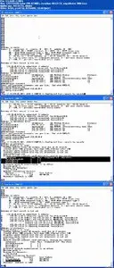 Cisco Press - CCENT ICND1 Video Mentor, Streaming Video, 2/e
