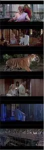 The Rains of Ranchipur (1955)