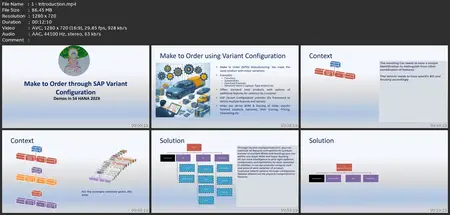 Make To Order Using Sap Variant Configuration