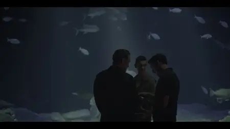 Black Rabbit S01E06