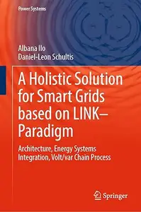 A Holistic Solution for Smart Grids based on LINK–Paradigm