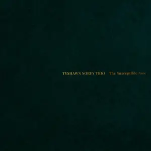 Tyshawn Sorey Trio - The Susceptible Now (2024)