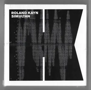 Roland Kayn - Simultan (Remastered) (1977/2024)