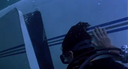 Heaven's Prisoners (1996)