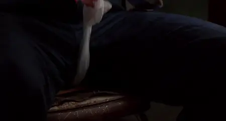 Heaven's Prisoners (1996)